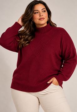 Immagine di PLUS SIZE TURTLE NECK SWEATER